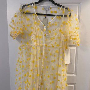 Tags on -Never Fully Dressed Sheer Midi Summer Dress